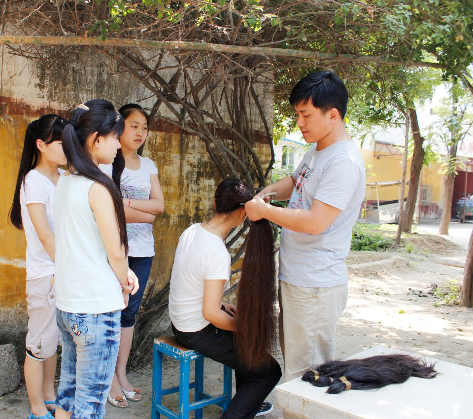 1. Hair Collection